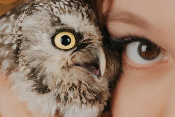 Kazino Loco Win Pagalba